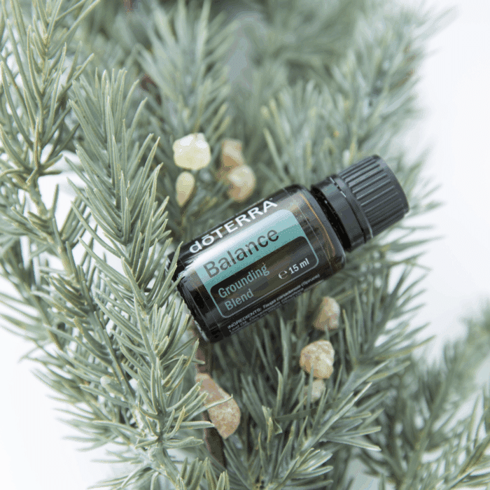 doTERRA Balance 15ml - Afbeelding 5