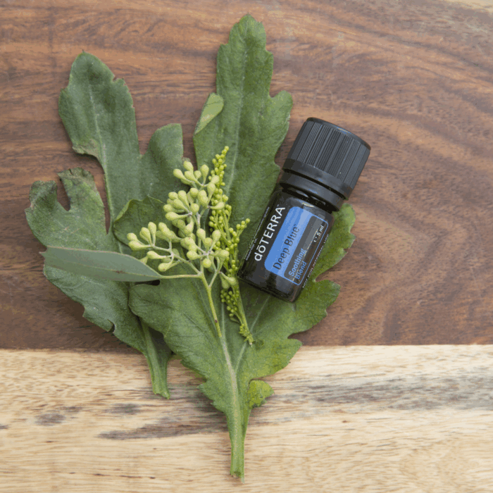 DoTERRA Deep Blue etherische olie 5ml