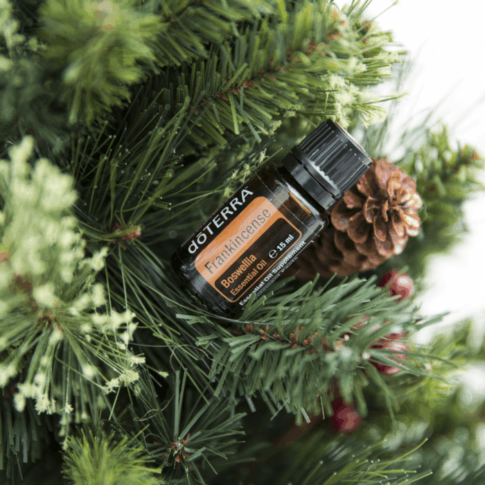 Waarom doTERRA Frankincense – De koning onder de oliën? Deze olie werkt rustgevend, helend en verdiepend, celvernieuwing en helpt je aarden én openen!