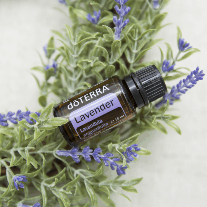 DoTERRA Lavendel etherische olie 15ml - Afbeelding 5