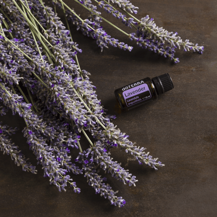 DoTERRA Lavendel etherische olie 15ml - Afbeelding 4