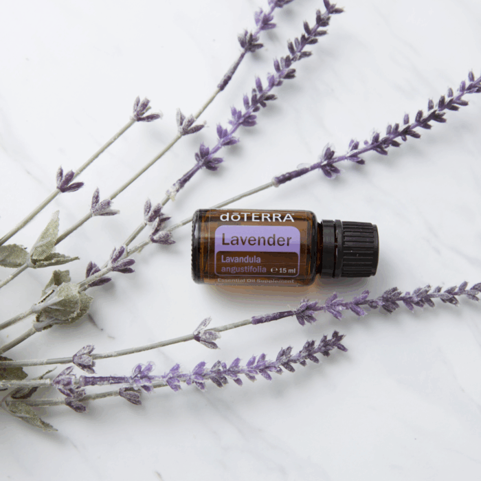 DoTERRA Lavendel etherische olie 15ml