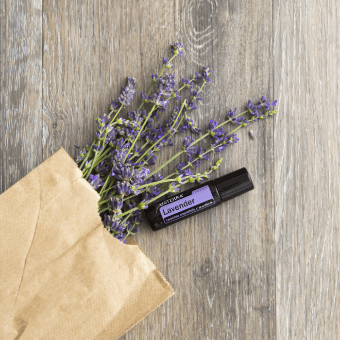DoTERRA Lavendel etherische olie 15ml - Afbeelding 6