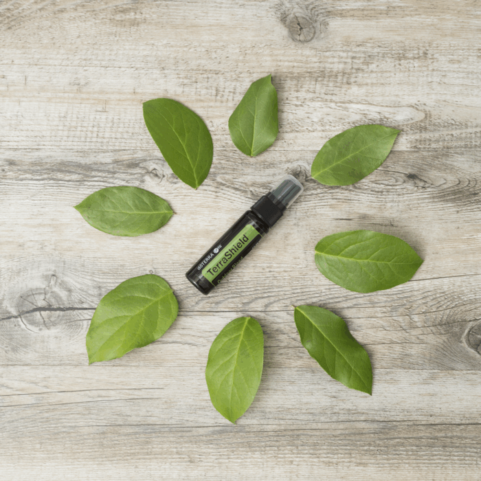 DoTERRA Terra Shield etherische olie 15ml - Afbeelding 3