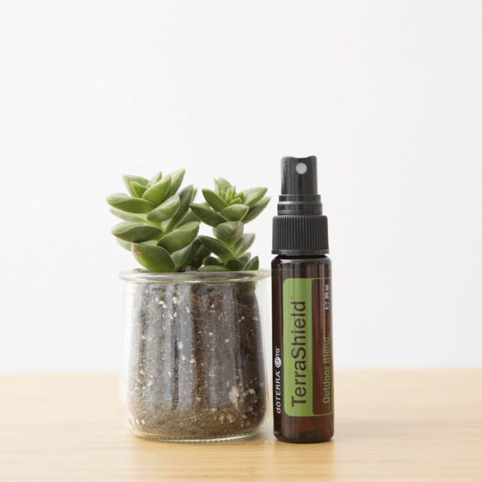 DoTERRA Terra Shield etherische olie 15ml - Afbeelding 2