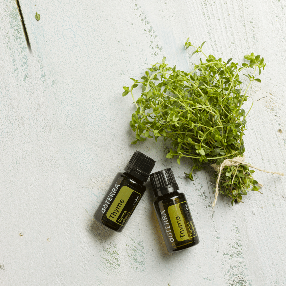 aarom doTerra Thyme Krachtige Beschermer? Thyme olie is een intens kruidige olie die traditioneel werd ingezet voor weerstand en reiniging en bescherming!