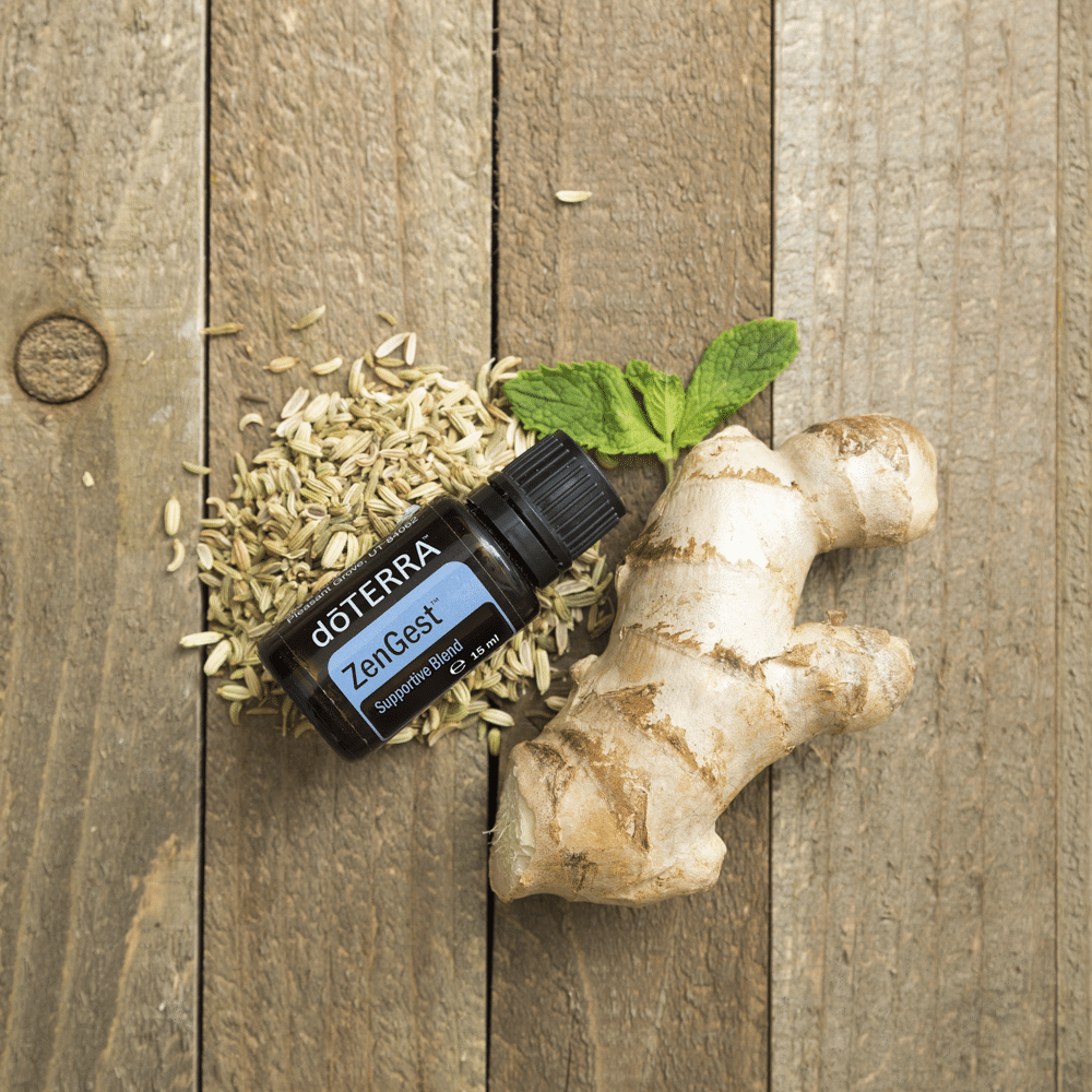 Waarom doTERRA ZenGest – Rust voor buik en brein? Dé olie voor rust en verlichting bij een opgeblazen gevoel, misselijkheid of spanningen rond de maag.