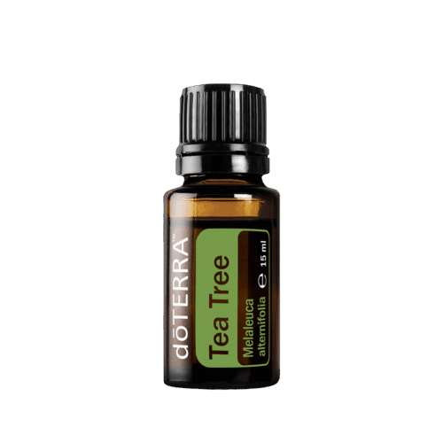 Waarom doTERRA Tea Tree – Zuiverend en verzorgend? Tea Tree (Melaleuca) is een krachtige, frisse olie die zuivert, verzorgt en beschermt. Onmisbaar in huis.