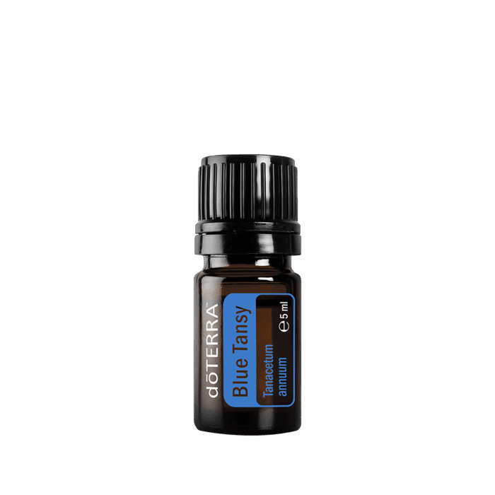 doTERRA Blue Tansy 5ml - Afbeelding 2