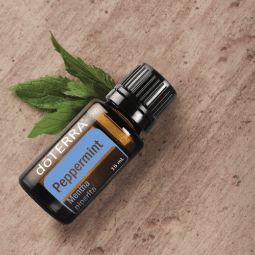 Waarom doTERRA Peppermint – Verfrissing en helderheid. Een zeer veelzijdige verfrissende olie. Peppermint helpt bij vermoeidheid, hoofdpijn en concentratie.