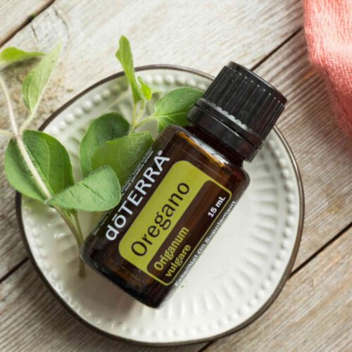 Waarom doTERRA Oregano - Krachtig & Zuiverend? Oregano reinigt intens en ondersteunt je immuunsysteem. Deze olie is onmisbaar in je EHBO-kastje