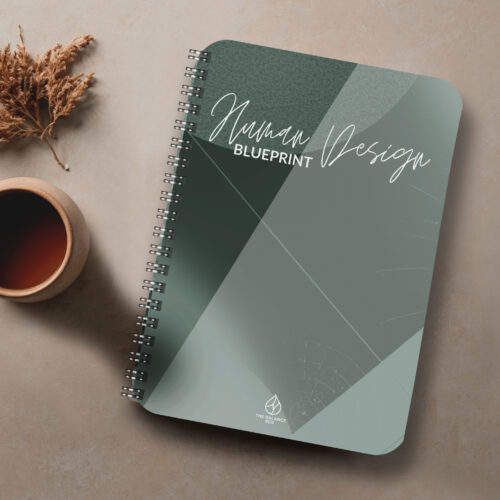 Human Design Blauwdruk (Drukversie)